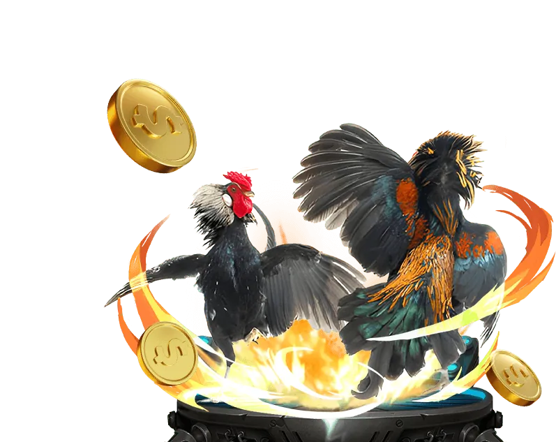 Giải pháp nhanh chóng Kuwin